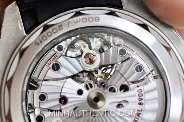 Omega Planet Ocean 43.5mm 215.33.44.21.01.001