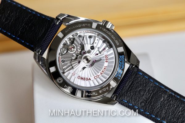 Omega Aqua Terra “GoodPlanet” Master Co-Axial 231.92.39.21.04.001