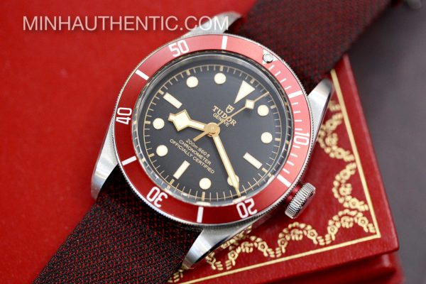 Tudor Heritage Black Bay Red M79230R-0009