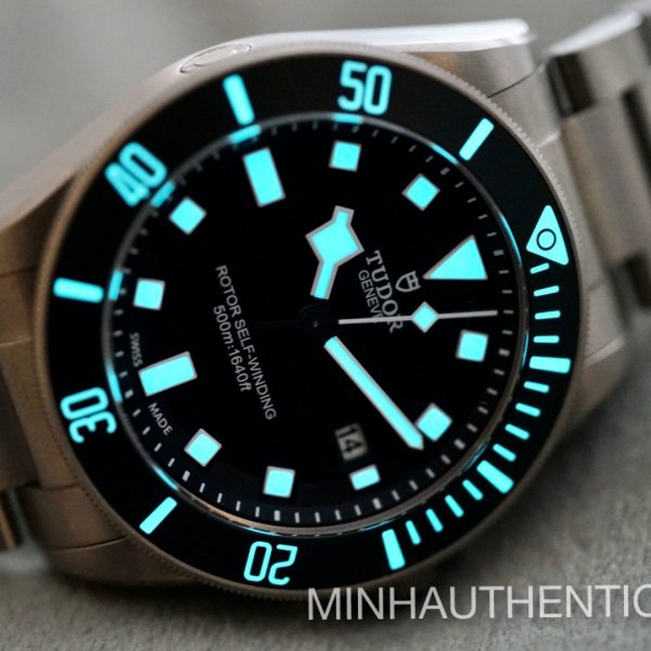 Tudor Pelagos 25500TN