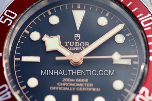Tudor Heritage Black Bay Red M79230R-0009