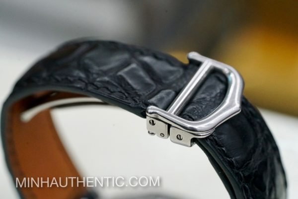 Cartier Pasha Pt950 Bezel "Millennium Edition" Automatic W3105255 - Ảnh 16