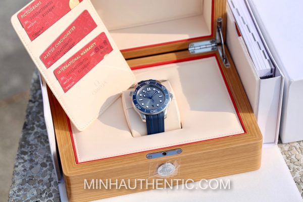 Omega Seamaster Diver 300m Co-Axial Master Chronometer 210.32.42.20.06.001