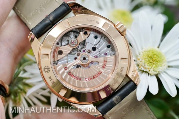 Omega Seamaster Aqua Terra Day-Date 18k Rose Gold Co-Axial Chronometer 231.53.42.22.02.001 - Ảnh 10