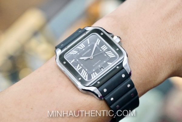 Cartier Santos Large ADLC/Steel WSSA0037 - Ảnh 11