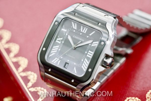 Cartier Santos Large ADLC/Steel WSSA0037 - Ảnh 24