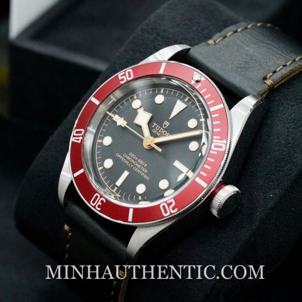 Tudor Heritage Black Bay Red M79230R-0011