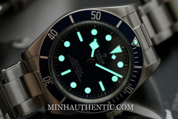Tudor Black Bay 58 Blue 79030B - Ảnh 2